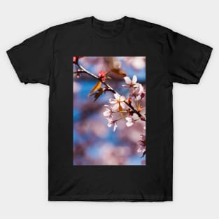 Cherry Blossom T-Shirt